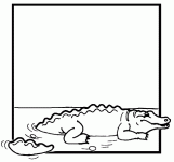 Dessin de crocodile dans l eau 