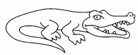 Dessin de dessin d un crocodile  