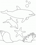 Dessin de dauphins et coquillages 