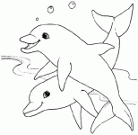 Dessin de deux dauphins 