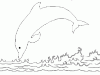 Dessin de saut d un dauphin 