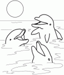 Dessin de trois dauphins au soleil 