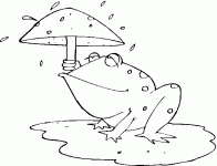 Dessin de une grenouille sous la pluie 