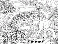 Dessin de guepard tigre et lion dans la jungle 