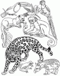 Dessin de un guepard avec les animaux de la jungle 