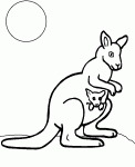 Dessin de kangourou avec son bebe 