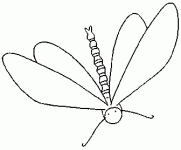 Dessin de dessin d une libellule 