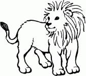 Dessin de dessin d un lionceau 