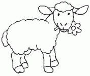 Dessin de le mouton mange une fleur 