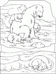 Dessin de les ours blancs 