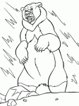 Dessin de un ours debout sous la pluie 