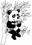 Dessin de panda dans un arbre 