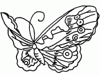 Dessin de papillon 1 