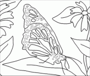 Dessin de papillon feuille 