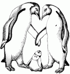 Dessin de couple pingouin avec bebe 