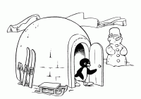 Dessin de pingu sort de son igloo 