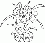 Dessin de des orchidee dans un pot 