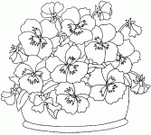 Dessin de des pensees 