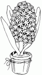 Dessin de fleurs de jacinthe dans un pot de fleur 