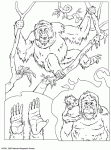 Dessin de dessins d orang outangs 