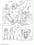 Dessin de les chimpanzes dans la jungle 