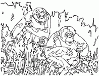 Dessin de trois singes dans la jungle 