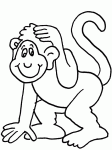 Dessin de un singe qui se gratte la tete 