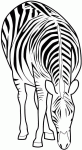 Dessin de zebre qui mange 