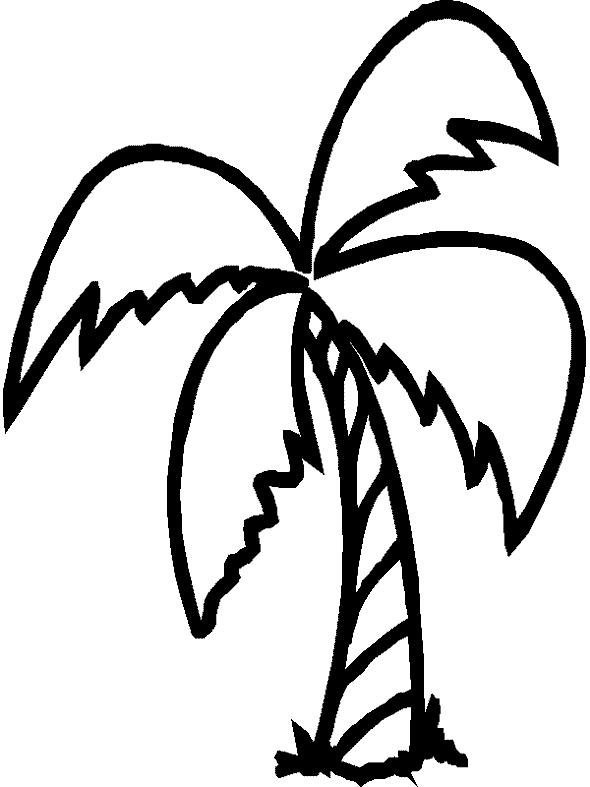 date palm coloring pages - photo #22