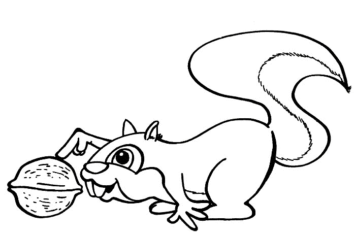 observe coloring pages - photo #43