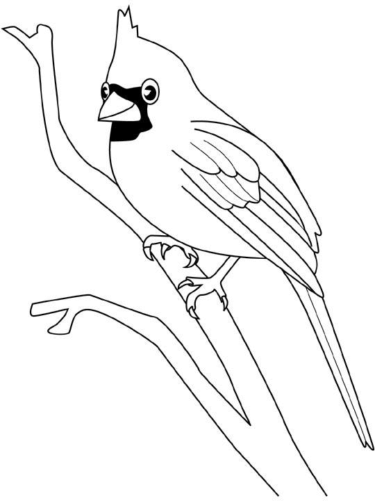 comment dessiner 1 oiseau
