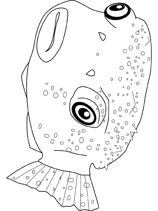 ocean puffer fish coloring pages free - photo #29