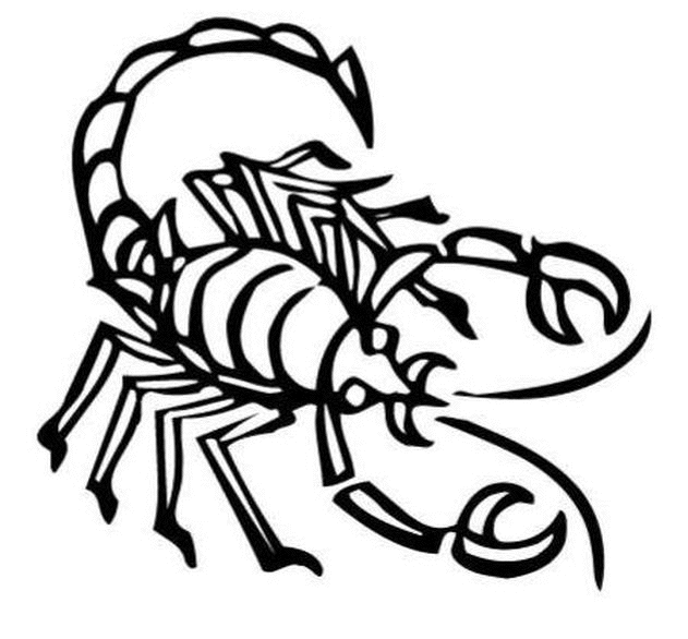 Coloriage Scorpion