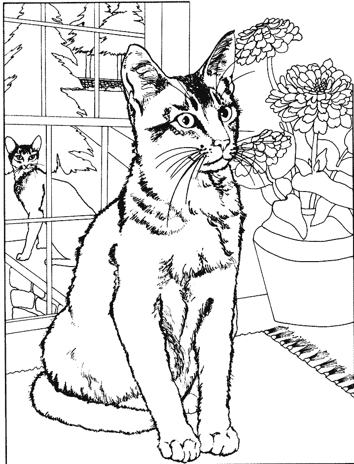 Coloriages de Chats coloriage Chats 1