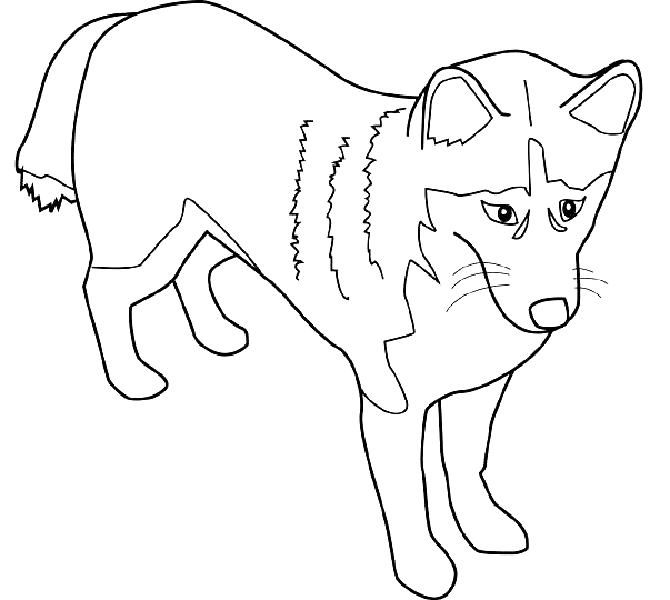 Coloriage De Chien De Race