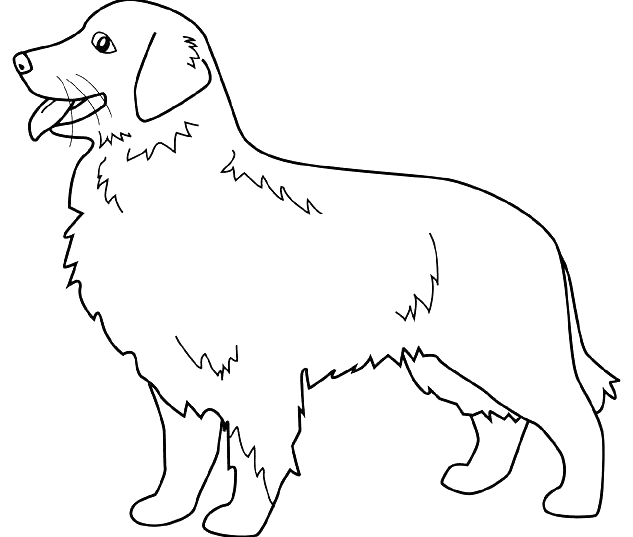 coloriage Chien 1