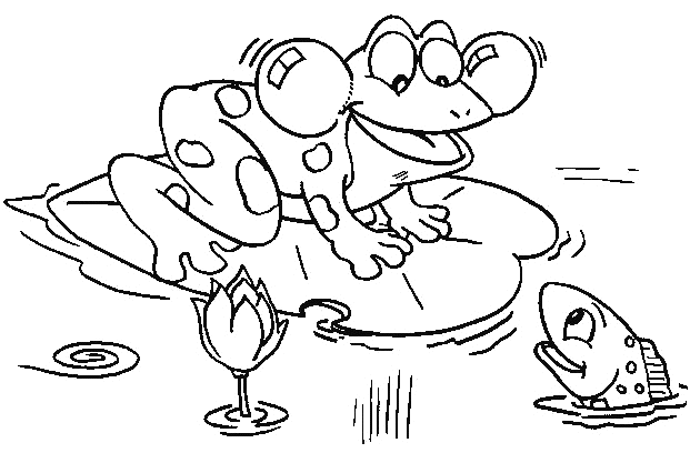 dessins de grenouille à colorier