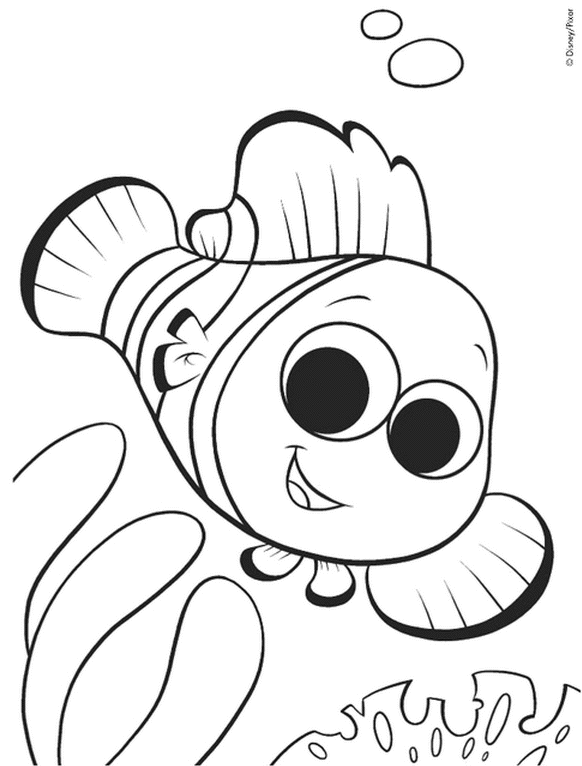 nemo disney dessin poisson