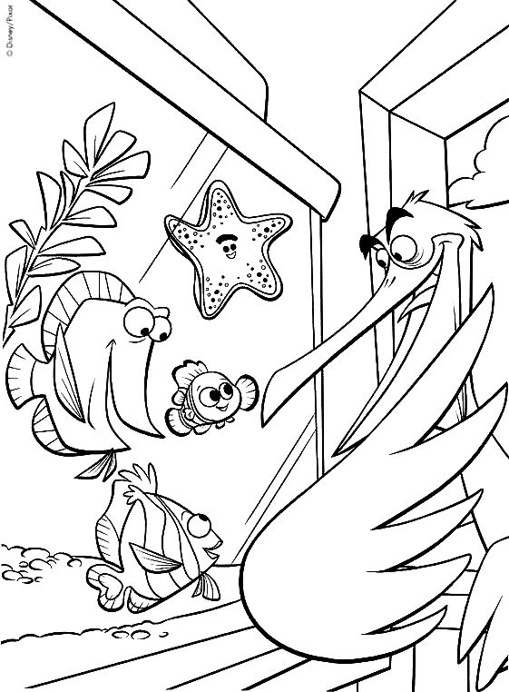dessin d aquarium