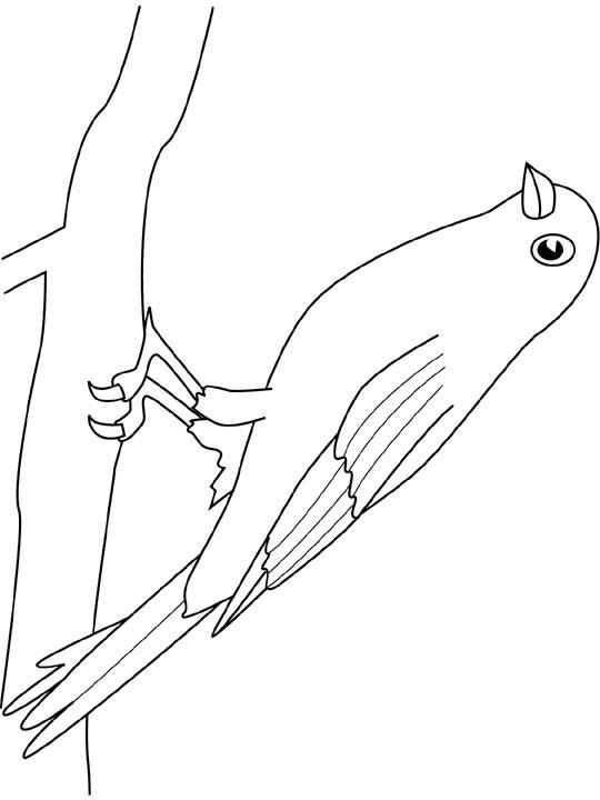 dessin facile a reproduire dessin facile a reproduire