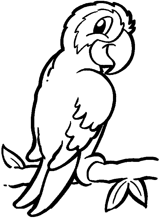 macaw coloring pages super coloring male - photo #39