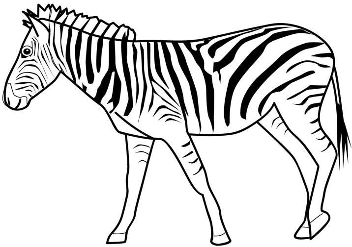 Quatre Mosaïque Transparente Animal Imprimer La Girafe, Le Zèbre, Tiger Et 