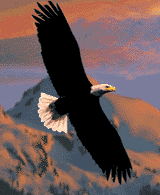 Image gif de aigle avec la montagne