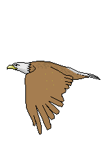 Image gif de l aigle vole