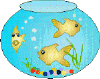 Image gif de 3 poissons dans un bocal