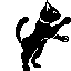 Image gif de chat noir