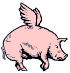 Image gif de cochon avec des ailes