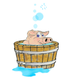 Image gif de cochon dans une bassine