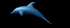 Image gif de dauphin bleu en 3D