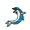 Image gif de dauphin dans l eau
